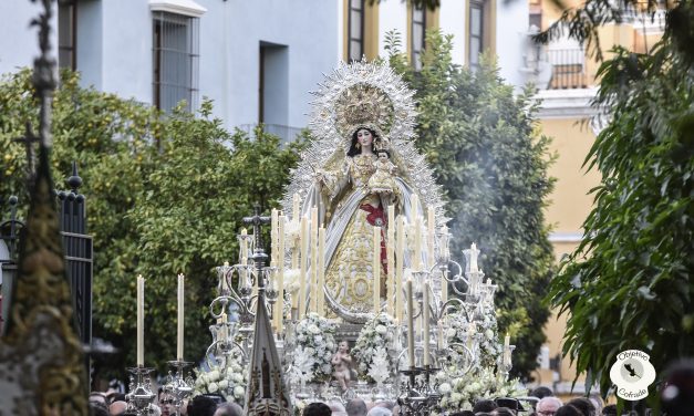 En imágenes, Una Semana de la Salida Procesional de La Virgen de las Nieves