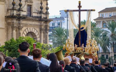 En Imágenes, Magna Mariana de Jerez 2024, por el fotógrafo David Camacho