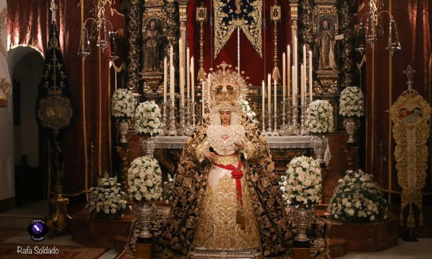 En Imágenes, Besamanos a María Santísima de la Caridad en su Soledad