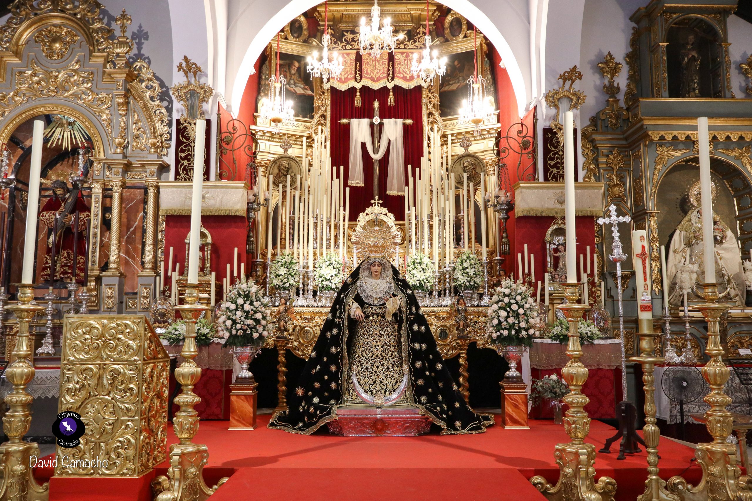 Brenes consagró el Besamanos Extraordinario a Nuestra Señora de los Dolores en su Soledad Coronada