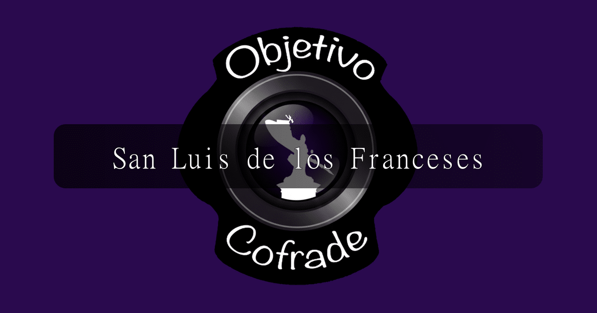 hermandad-san-luis-de-los-franceses