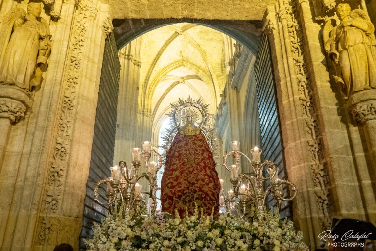 Lee más sobre el artículo En imágenes, Procesión de traslado de La Virgen de Montemayor a la Catedral para el Pregón de Glorias.
